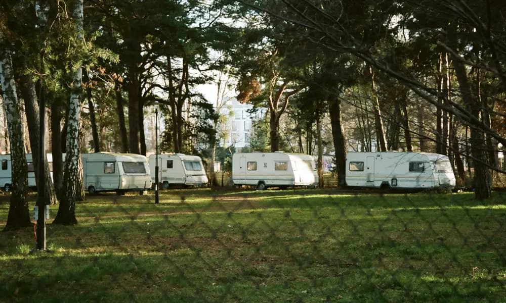 Caravans parked between trees