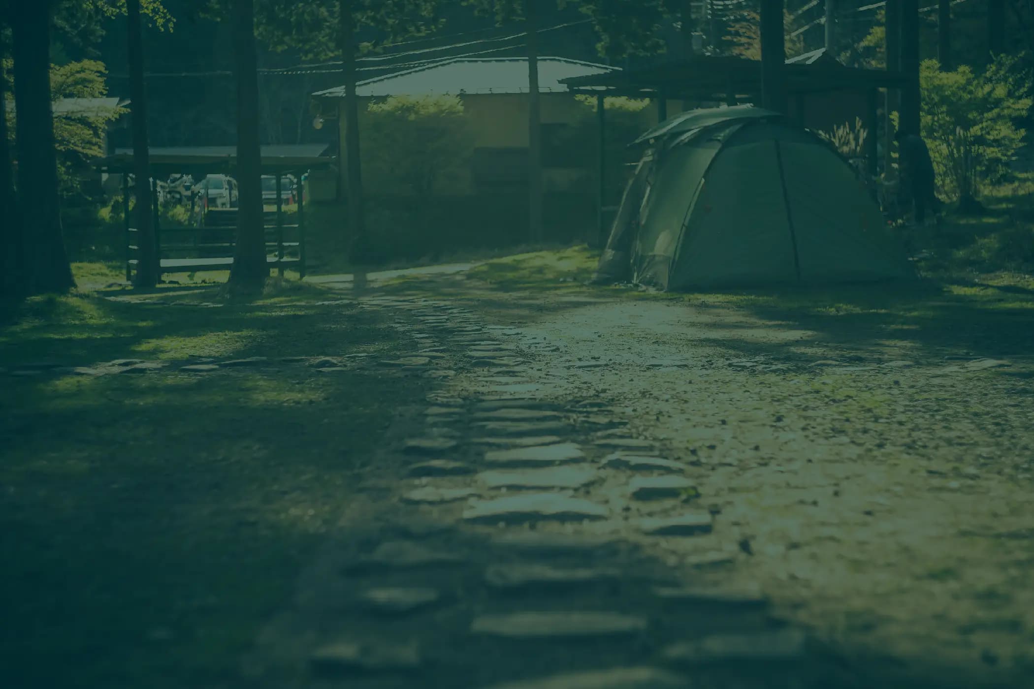 A quiet camping destination with a tent among trees