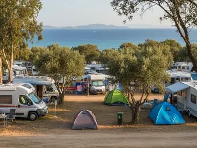 A campsite surrounded by trees near the sea